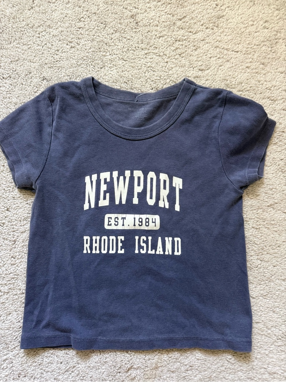 Brandy Melville Navy and White Graphic Crop Tee